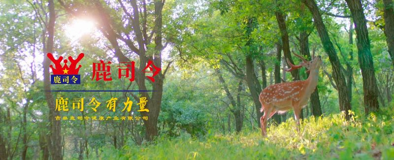 1716365936373042.jpg wKj0iWILGW6Ab1FHAA8Qv9h5uMc066.jpg